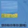 想你 盼你 等你(翻唱)