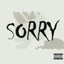 Sorry (feat. Cryptic Wisdom) (Explicit)