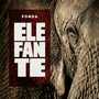 Elefante