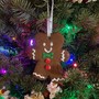 The Gingerbread Man