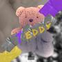 TEDDY (Explicit)