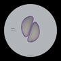 Expresar EP