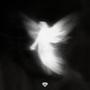 Angels And Demons