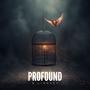 PROFOUND (Explicit)