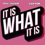 It Is What It Is (feat. Cam'ron) [Explicit]