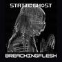 BREACHINGFLESH
