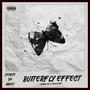 Butterfly Effect (Explicit)