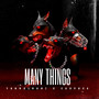 Many Things (Explicit)