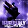 Birds Fly (feat. HellNback) [Explicit]