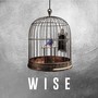 Wise (feat. Grandpa Joe)