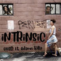 iNTRiNSiC