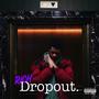 Rich Dropout (Explicit)