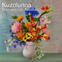 Kuzolunga (Radio Edit)