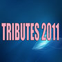 Tributes 2011 (Lady Gaga - Katy Perry - David Guetta - Pitbull - Glee Cast - Don Omar - Daddy Yankee - Adele and others)