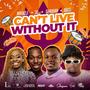 Cant Live Without It (feat. 3D Vybz, Miracle & Shaquan)