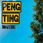 Peng ting (feat. $hyli) [Explicit]
