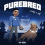 Purebred (Explicit)