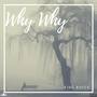 Why Why (Explicit)