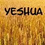 Yeshua (feat. Soran (Voice) & Ziv Priel (Mix))