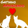 Gatinho Apaixonado