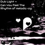 Can You Feel the Rhythm of Melodic (VIP)