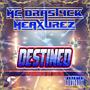 Destined (feat. Kulya Beats) [Explicit]