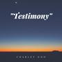 Testimony (Explicit)