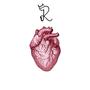 Heart Ain't Changed