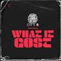 What It Cost (Explicit)