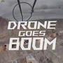 Drone goes Boom