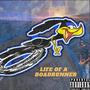 Life of a RoadRunner (Explicit)