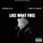 LIKE WHAT FREE (feat. PrimeGse) [Explicit]