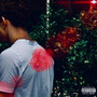 FastLife (Explicit)
