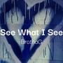 See What I See (Explicit)