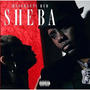SHEBA (Explicit)