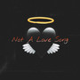 Not A Love Song (Explicit)