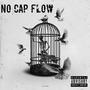 No Cap Flow (Explicit)