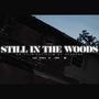 Still in The Woodz (Explicit)