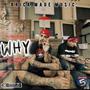 Why (feat. 7thlettahshadow) [Explicit]