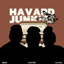 Havard Junkies