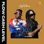 FLOW CASH LEVEL (Explicit)