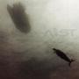 CALM (Explicit)