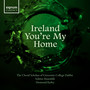 Ireland You're My Home (Arr. for Choir and Ensemble by Desmond Earley)