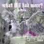 what if I had more? (Explicit)