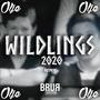 Wildlings 2020 (Olje Remix) [Explicit]