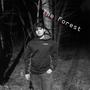 The Forest (Explicit)