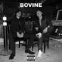 BOVINE (Explicit)