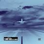 Flight Risk (feat. ieMuzik) [Explicit]