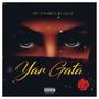 Yar gata (feat. BigGeez)