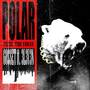 POLAR (Explicit)